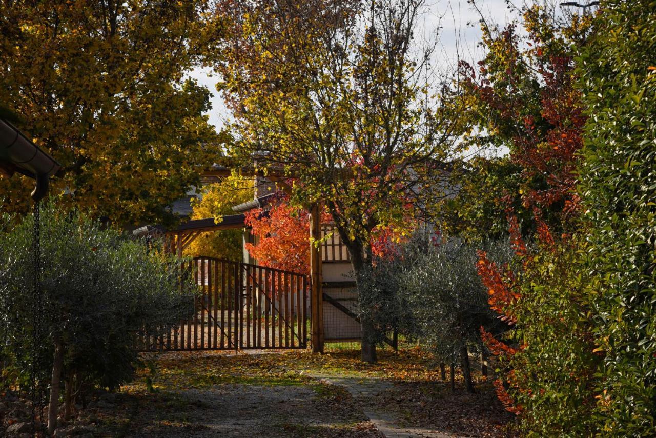 Agriturismo Corte Benetti Rovigo Bagian luar foto