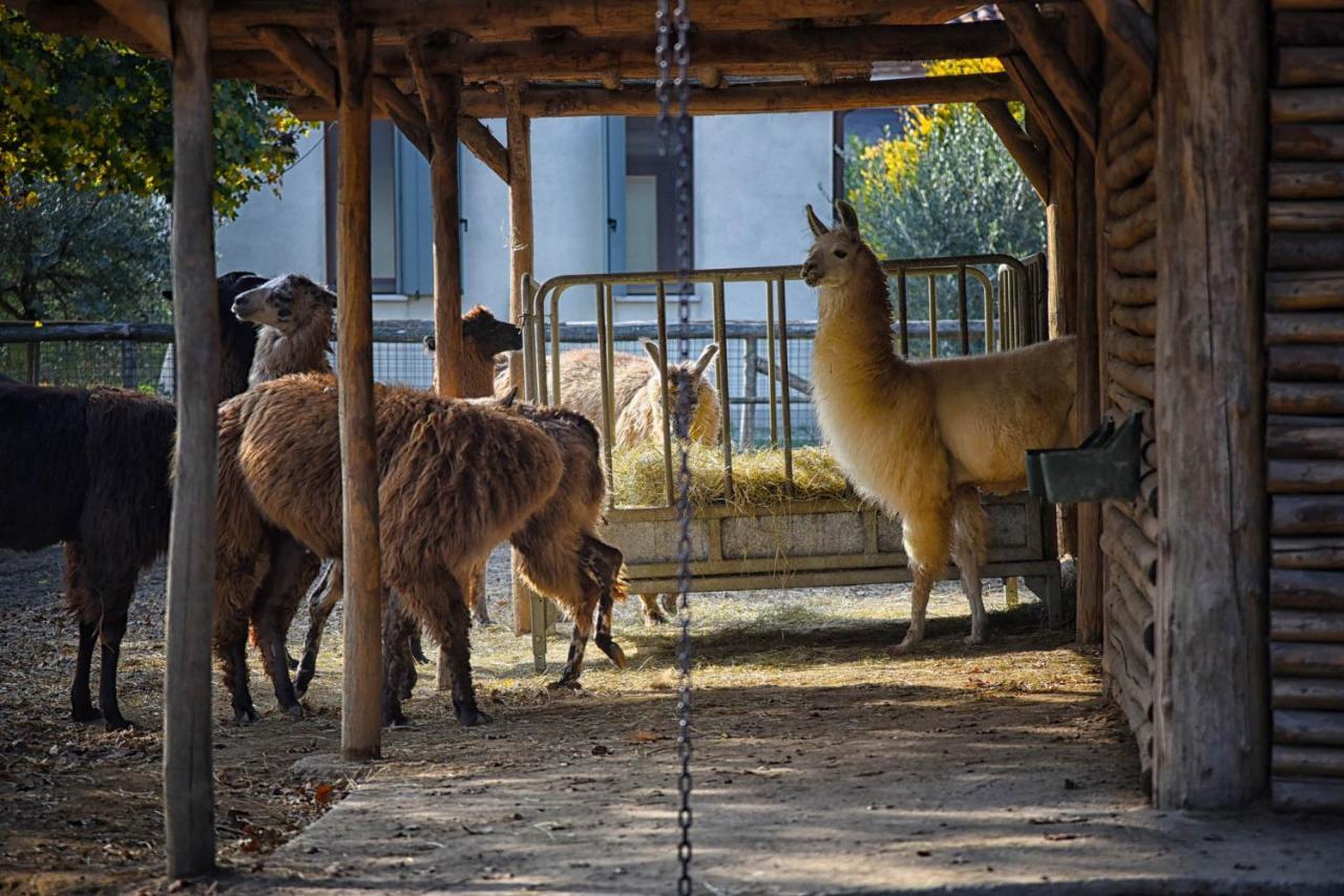 Agriturismo Corte Benetti Rovigo Bagian luar foto