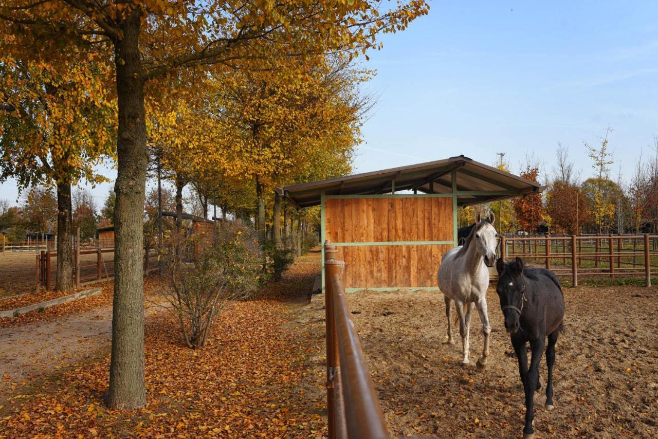 Agriturismo Corte Benetti Rovigo Bagian luar foto